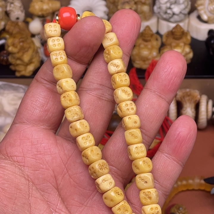 驼骨摆件人工养殖