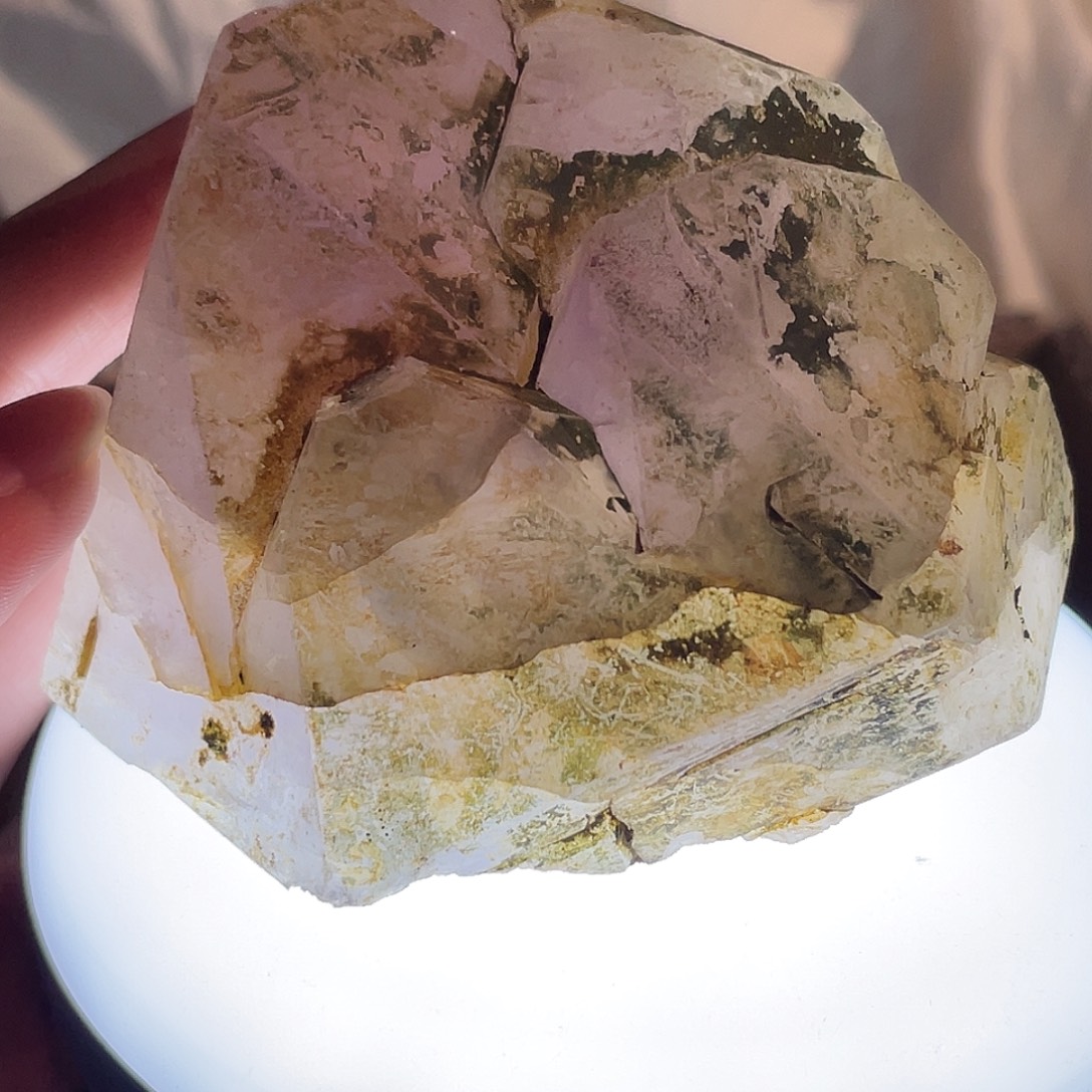 未镶嵌手链水晶紫骸骨 48号