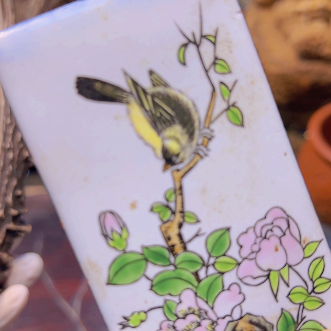 哈哈哈哈哈哈哈哈