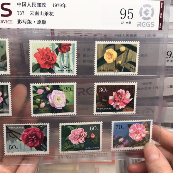 T37云南山茶花邮票原胶全品95