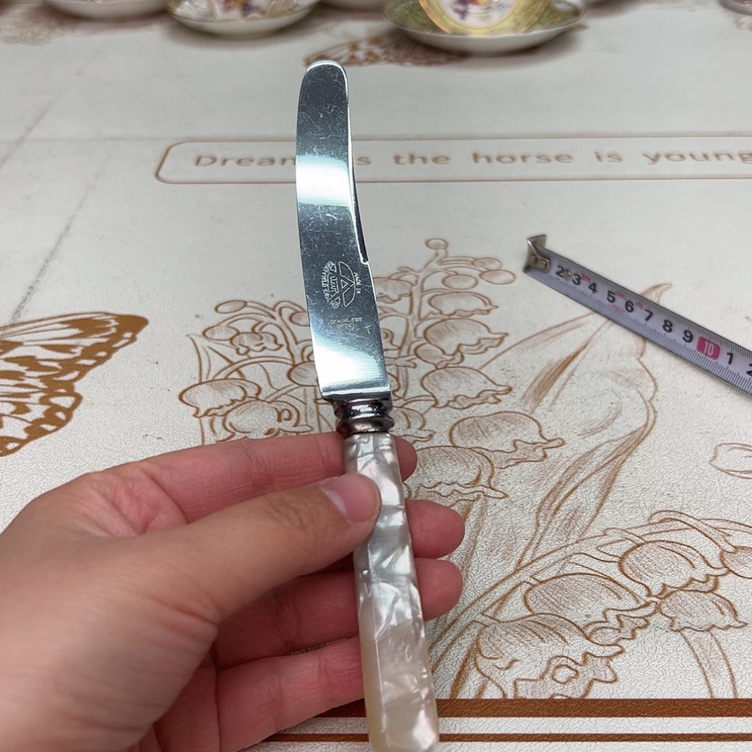 盘维多利亚欧洲中古