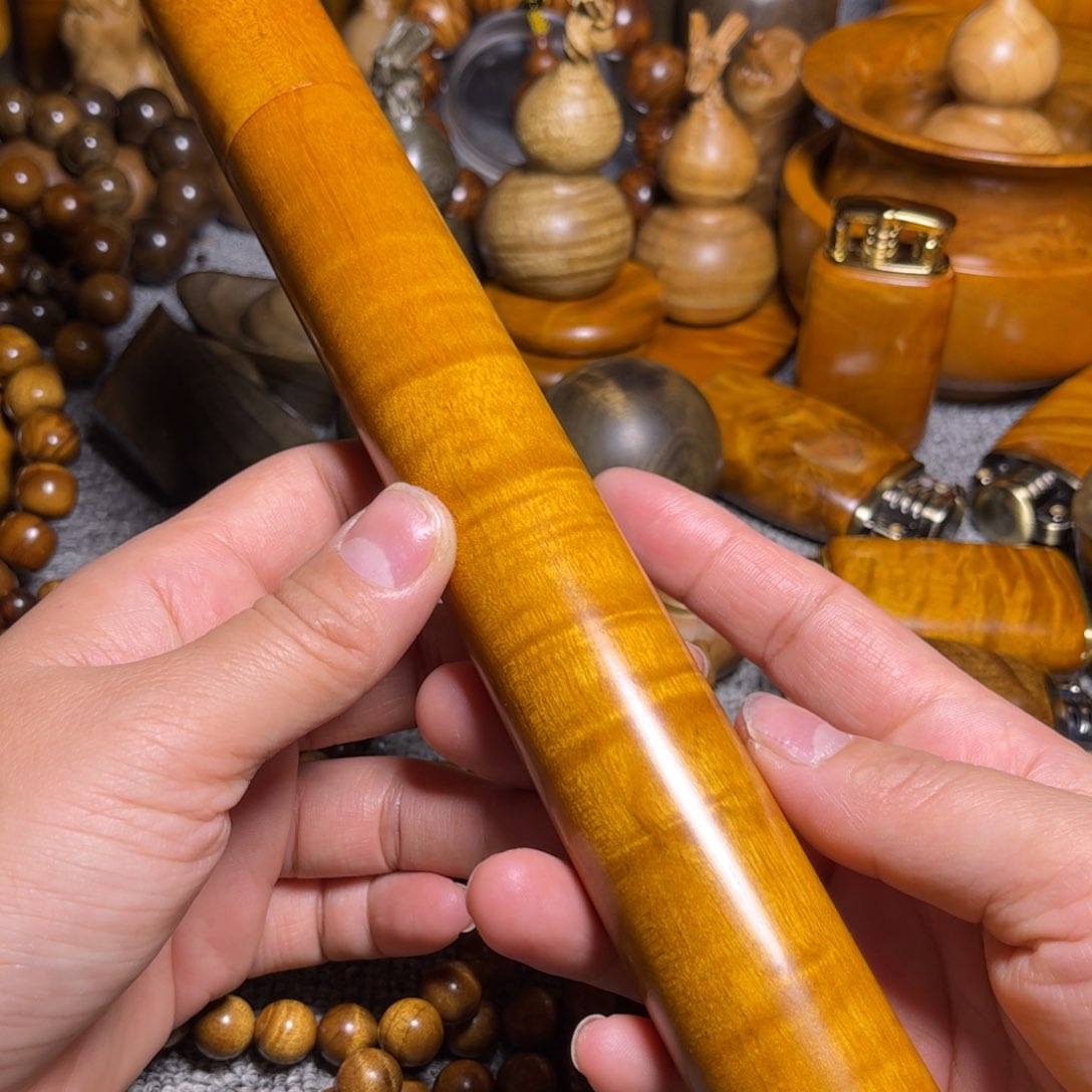 金丝楠香筒小叶桢楠