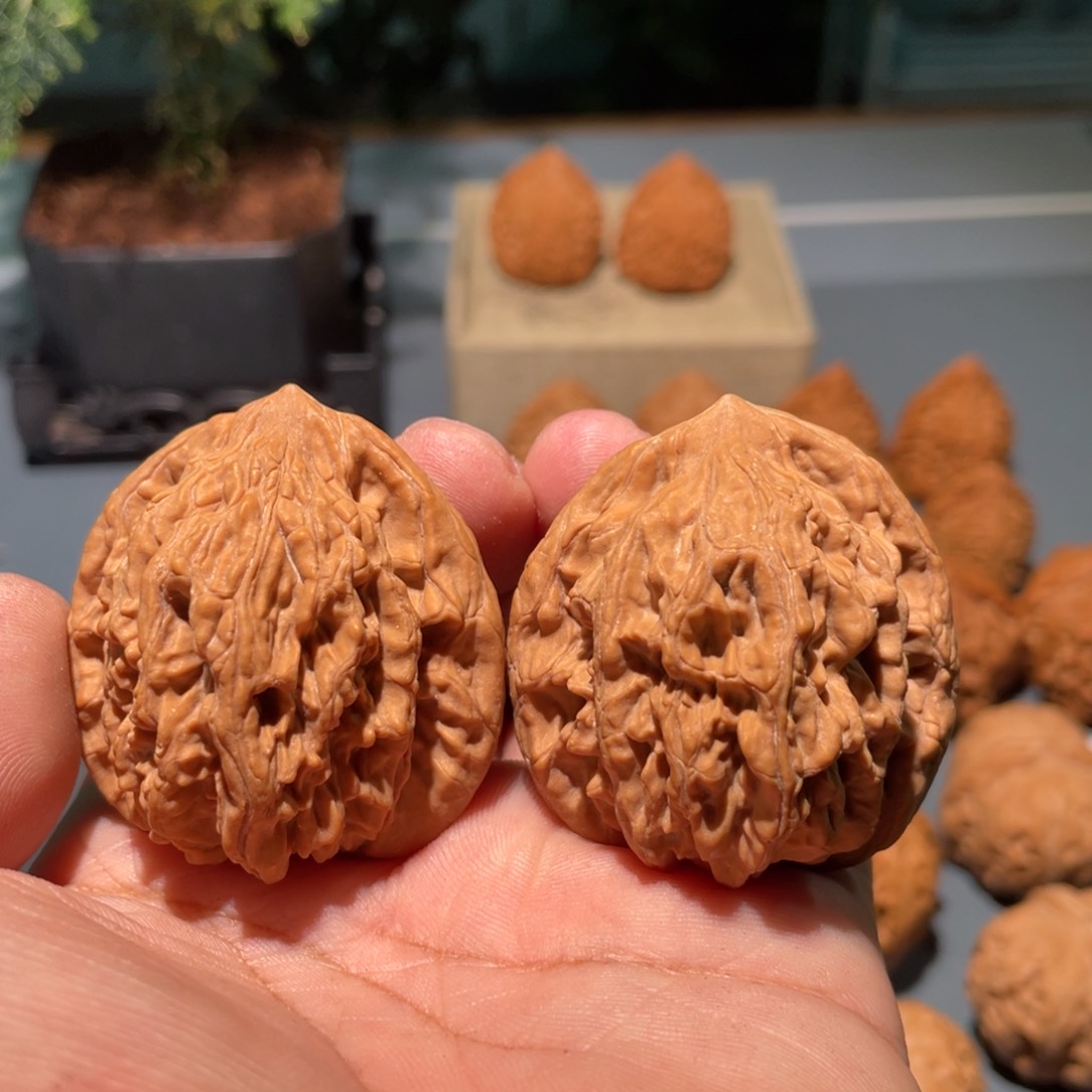 文玩核桃把件閻虎头43
