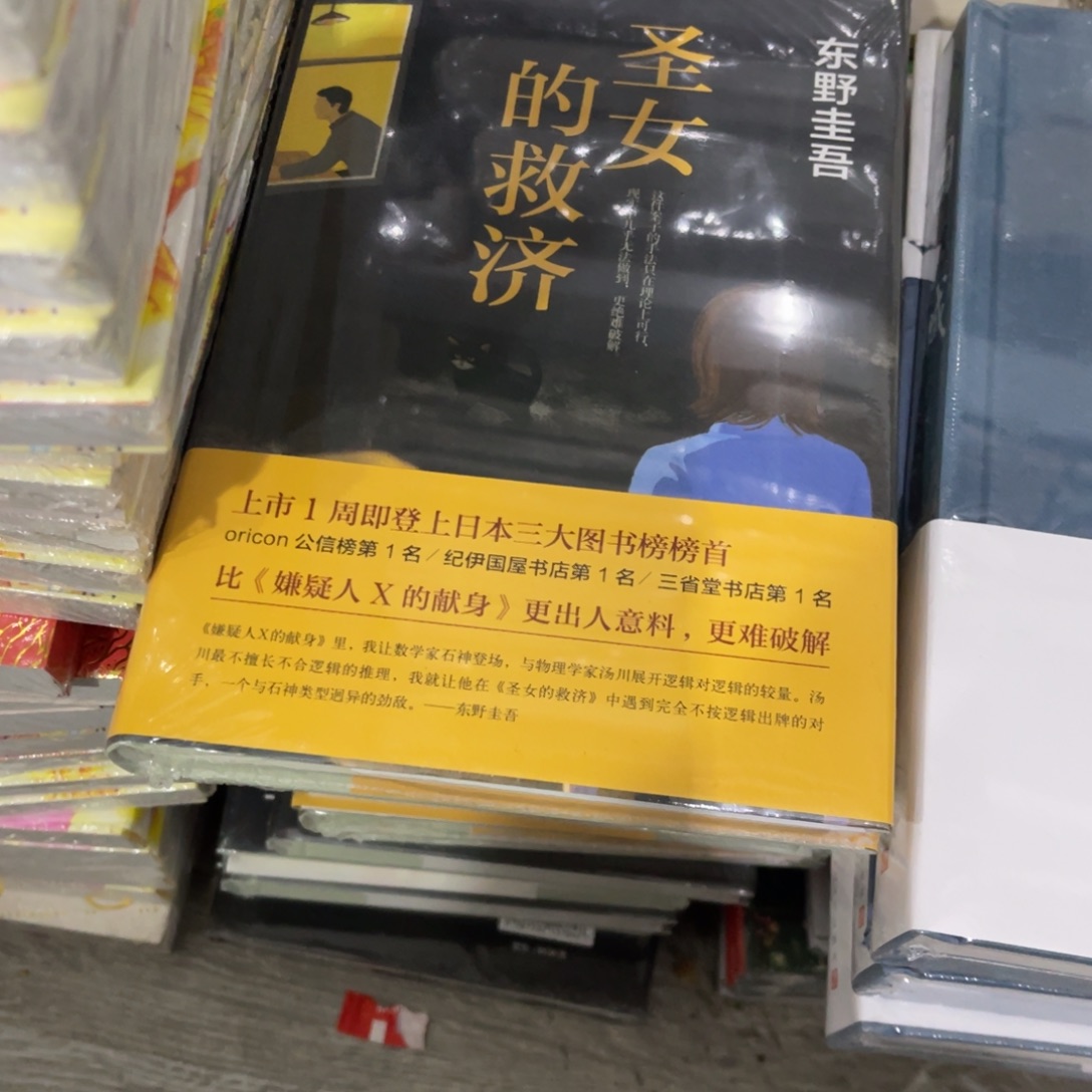 圣女的救济精装一个