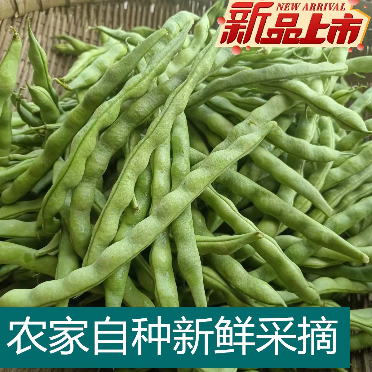 贵州威宁高山四季豆