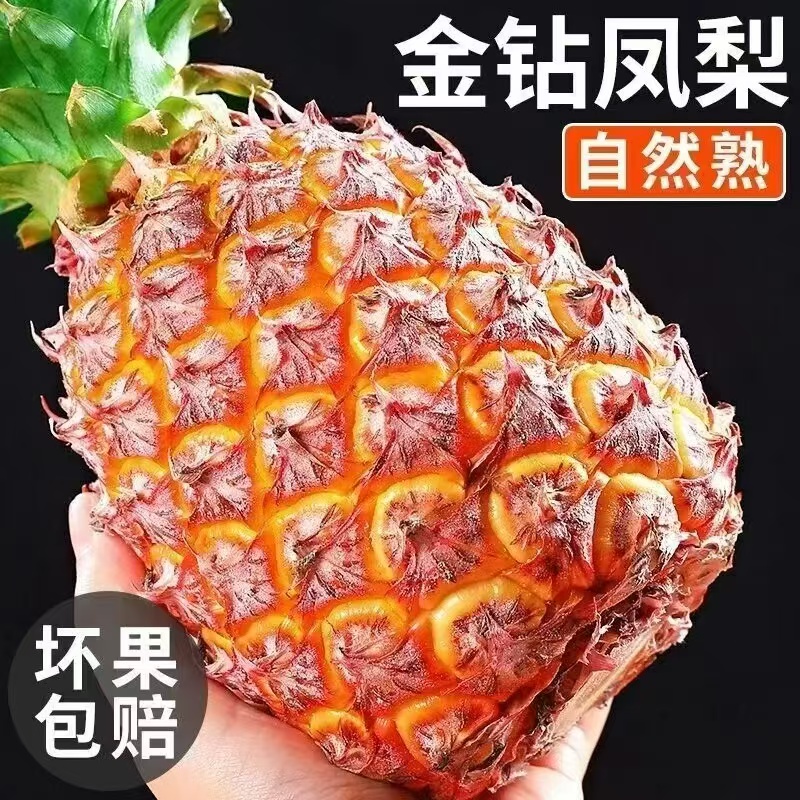 海南金钻凤梨热带水果特产清甜爽口自然成熟新鲜当季水果多汁