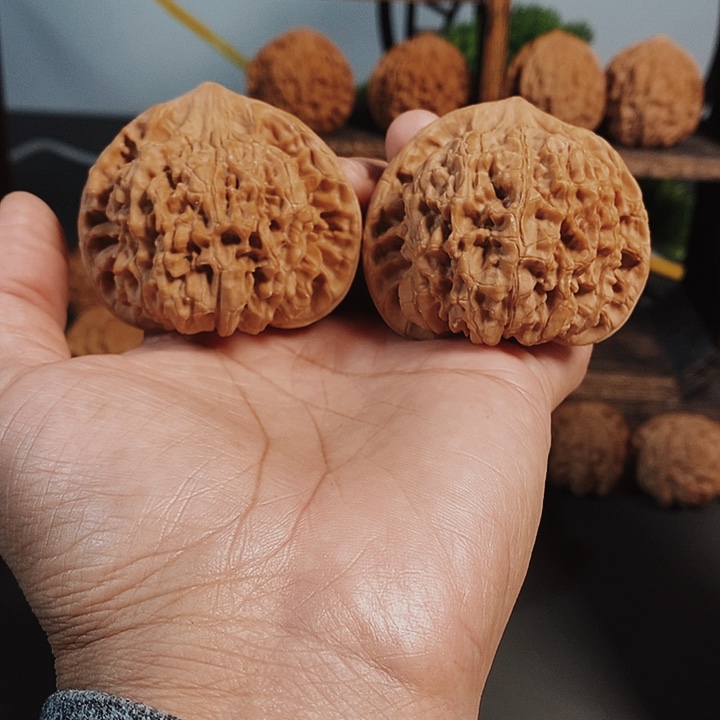 54欢帽红皮果骨质好
