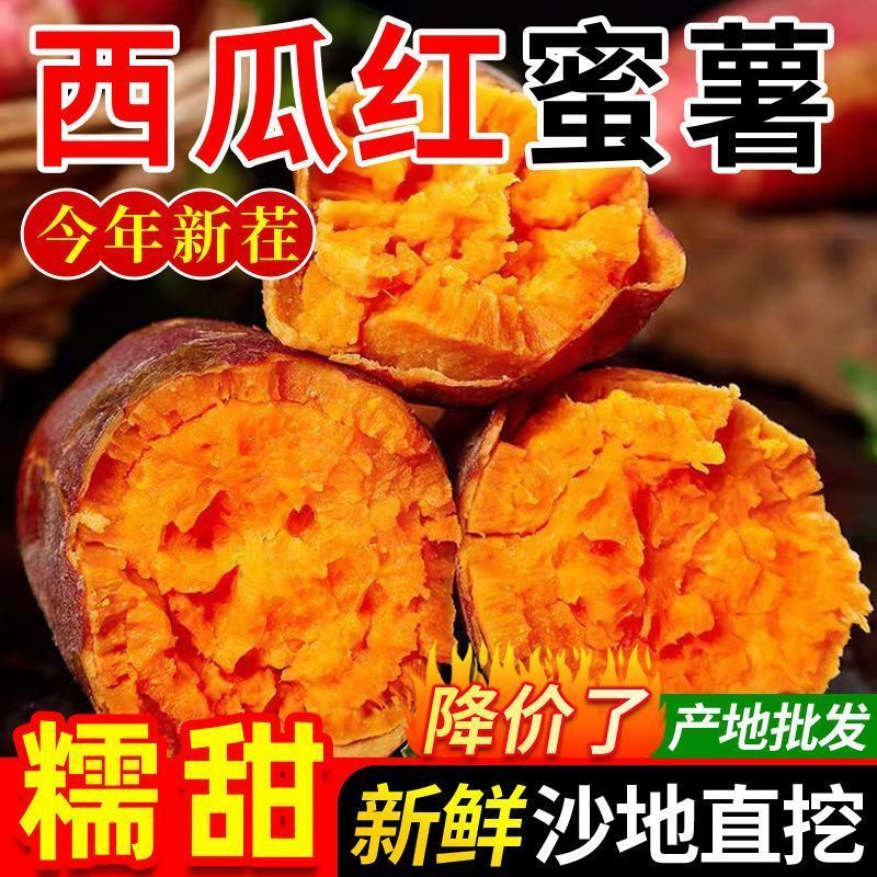 新鲜现挖西瓜红红心红皮蜜薯沙地番薯软糯香甜口感细腻无筋无丝