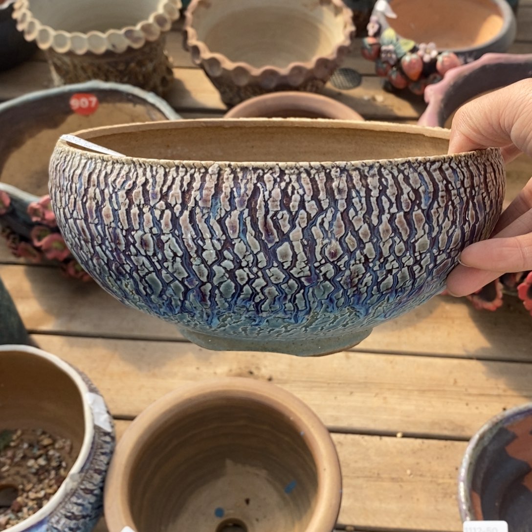 51号多肉盆口径19