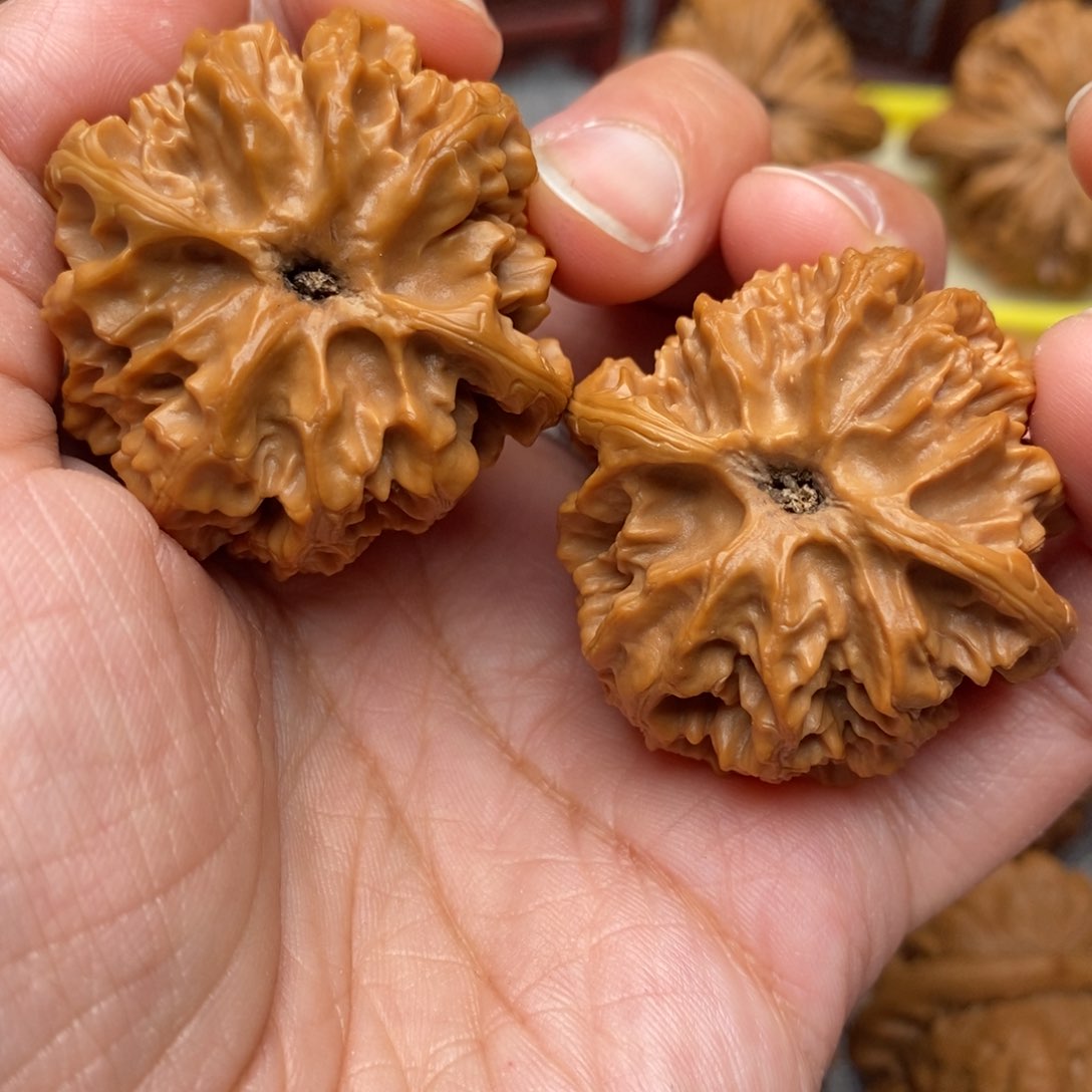 文玩核桃把件红皮老树苹果38尺