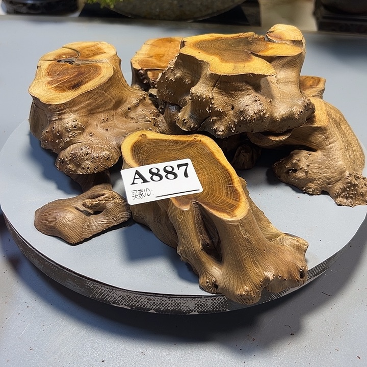 P***…大果紫檀（缅甸花梨）