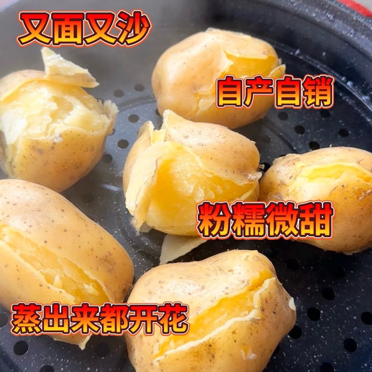 西黄心沙面土豆粉糯洋芋马铃薯产地直供