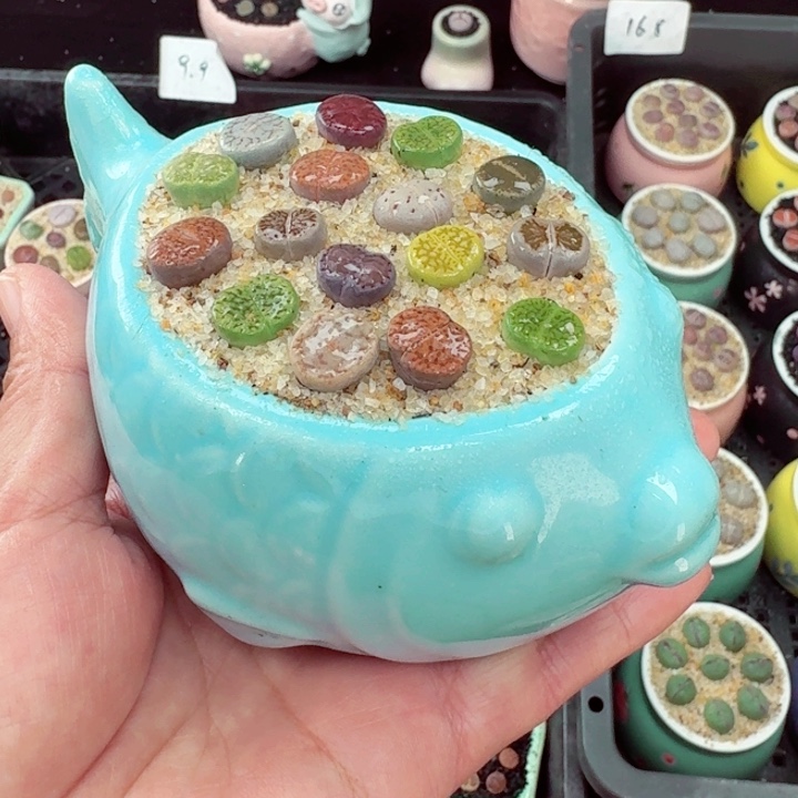 813清库存快来捡福利哦