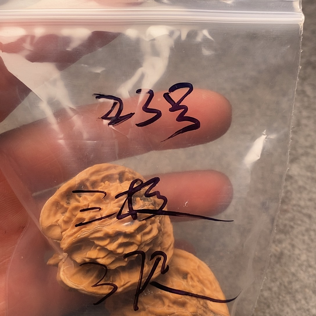 文玩核桃把件?****粥三棱