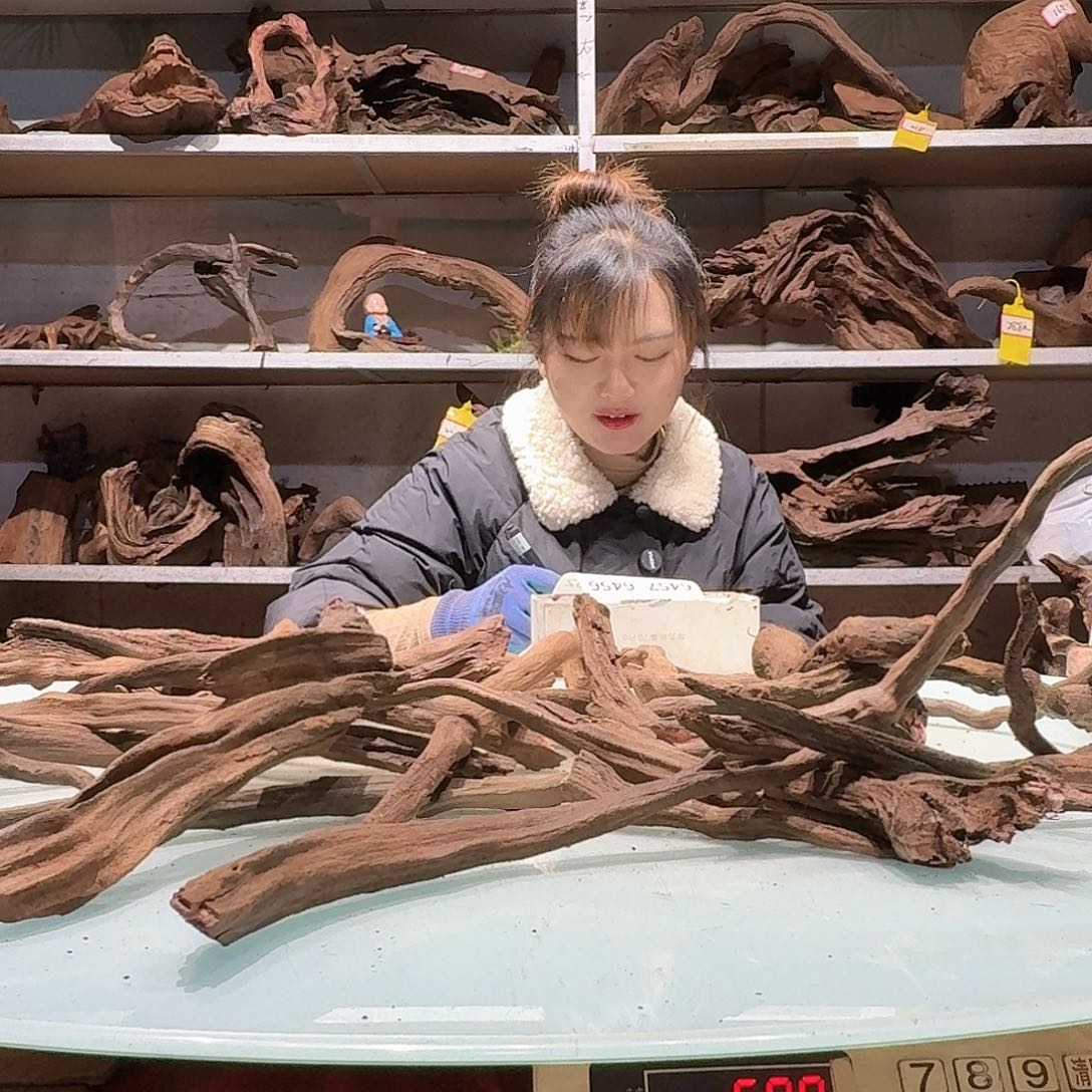 倍褚沉木不包损必褪色法**餮6445紫柚枝条