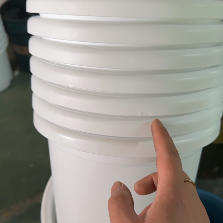 微瑕4号8个无托白色