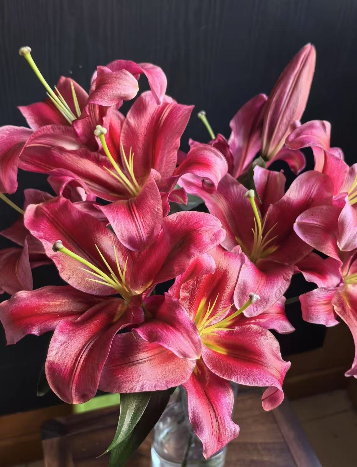 四季可种1颗《永恒的爱》14/16香水百合花球 