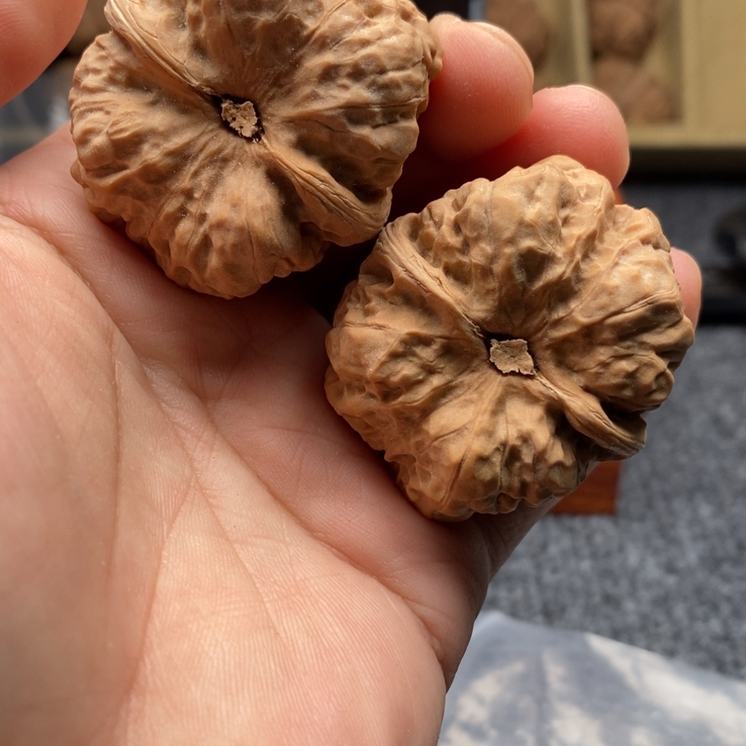 修***家好的我真的是太喜欢了一个人