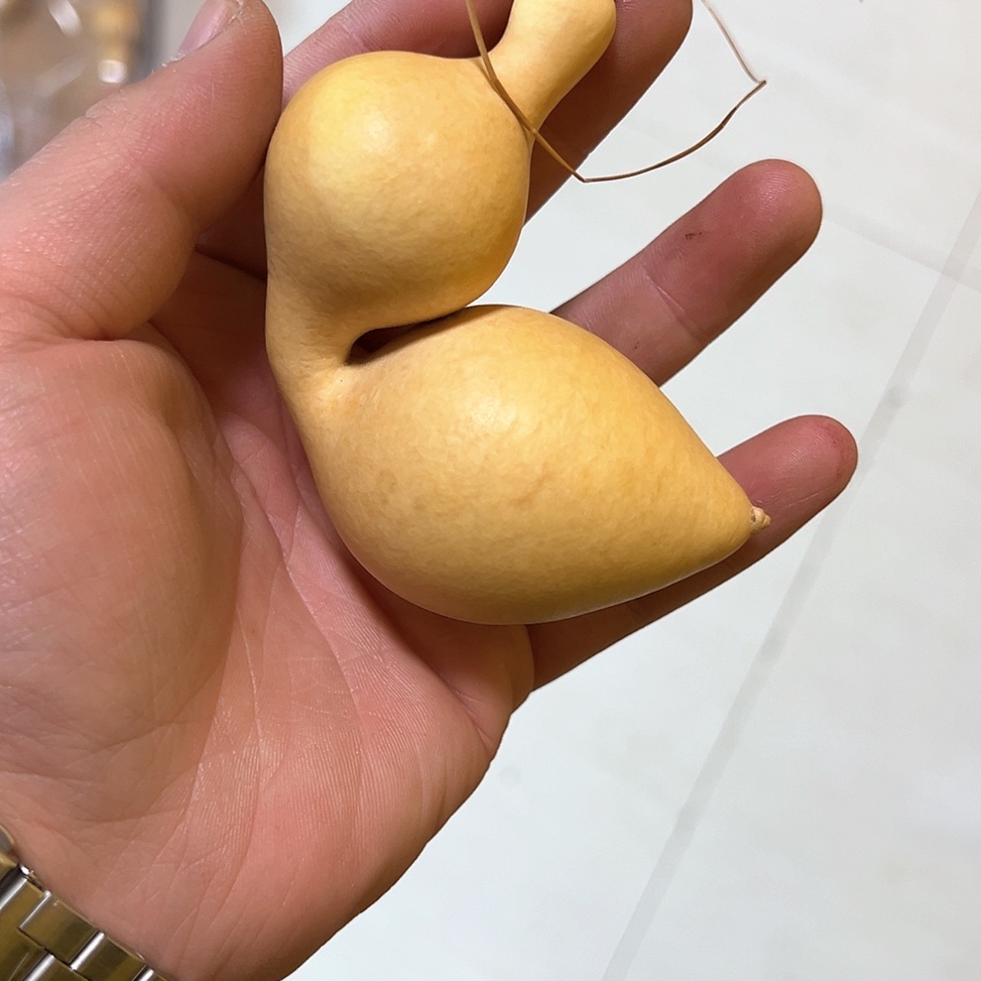 如*手把弓背胖蚂蚁葫芦