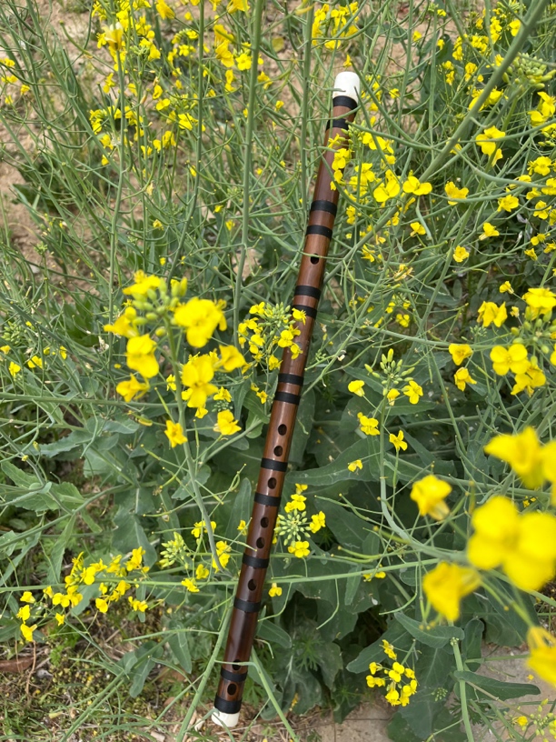 专业演奏级苦竹笛子收藏品