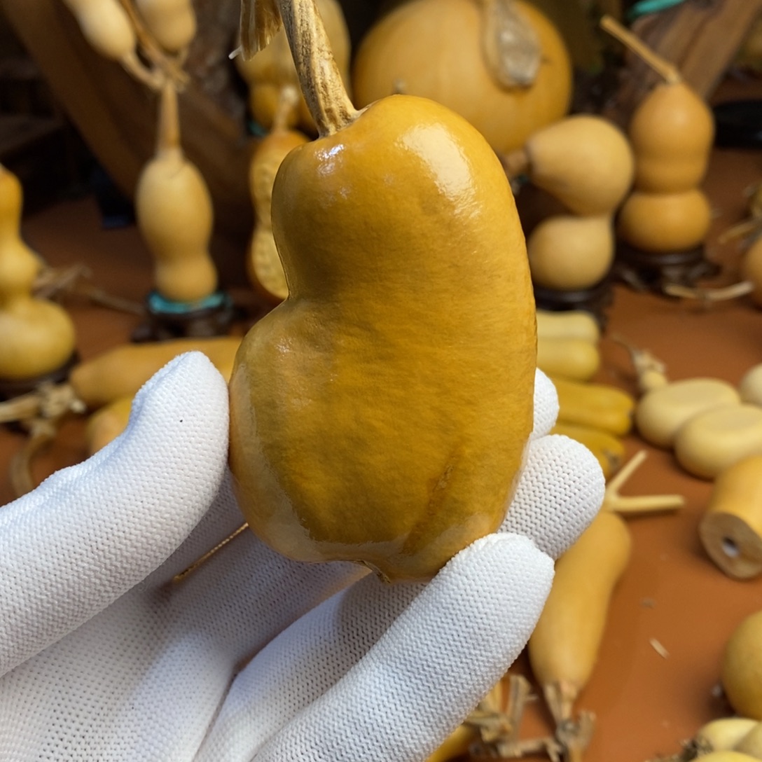 教练教练教练教练啦