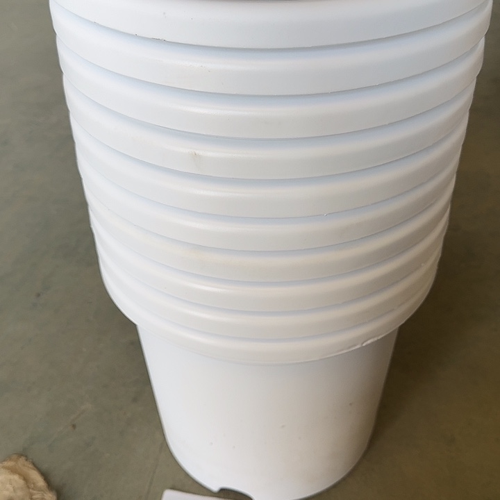 编号编号编号2440