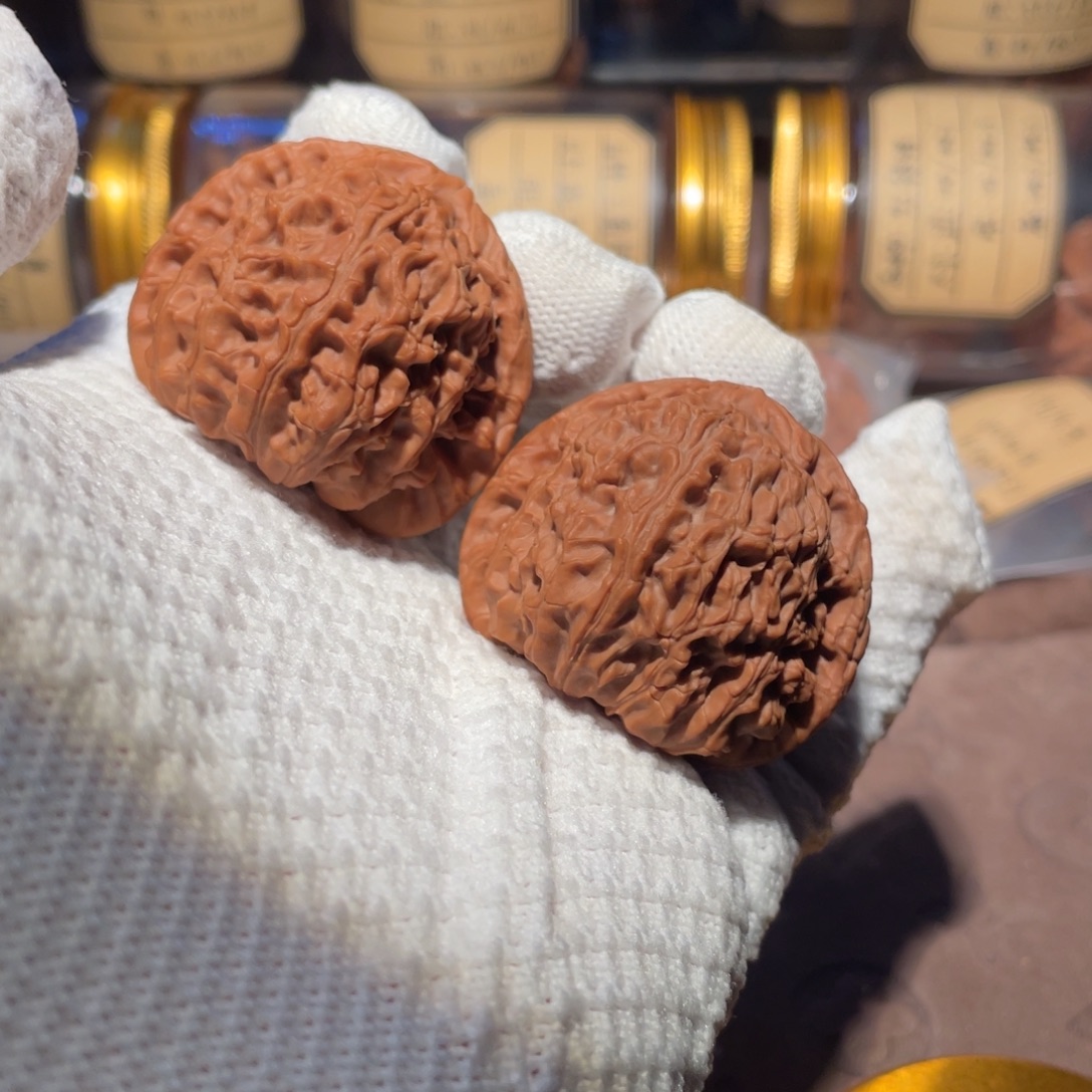 核桃43三角白不不不不不