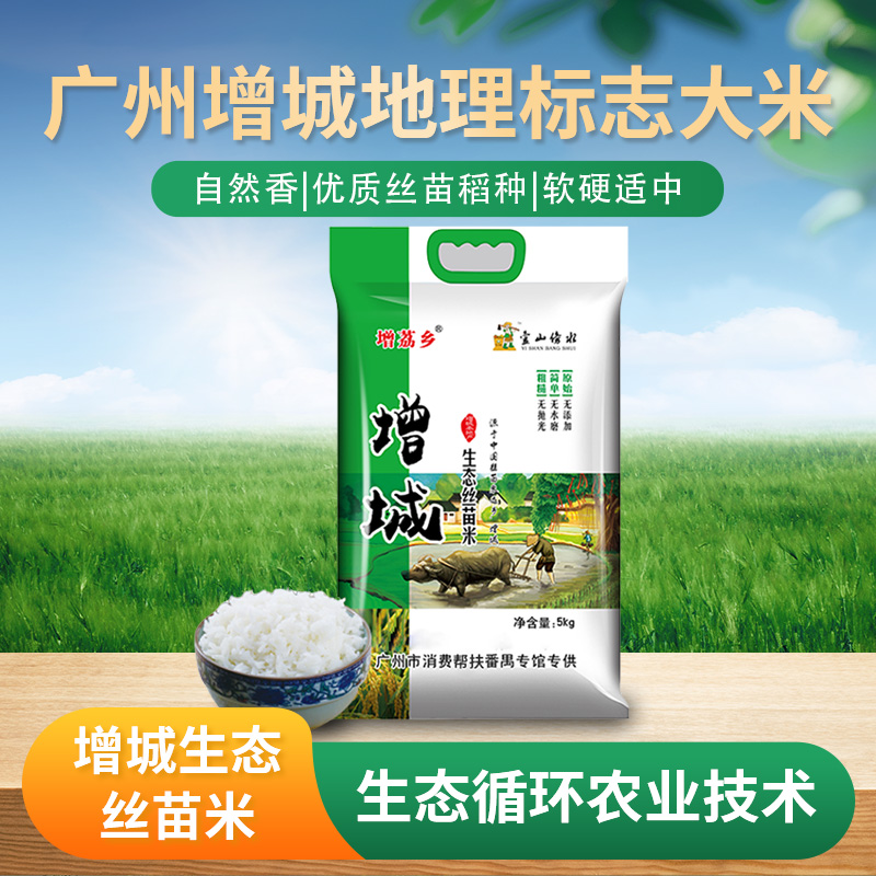 增城生态丝苗香米10斤真空包装 家用一级大米籼米 增城地标原产地