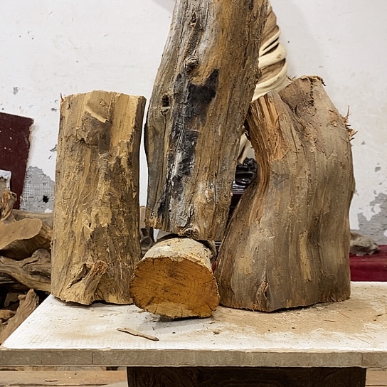 舍***得柏木我们都是好孩子