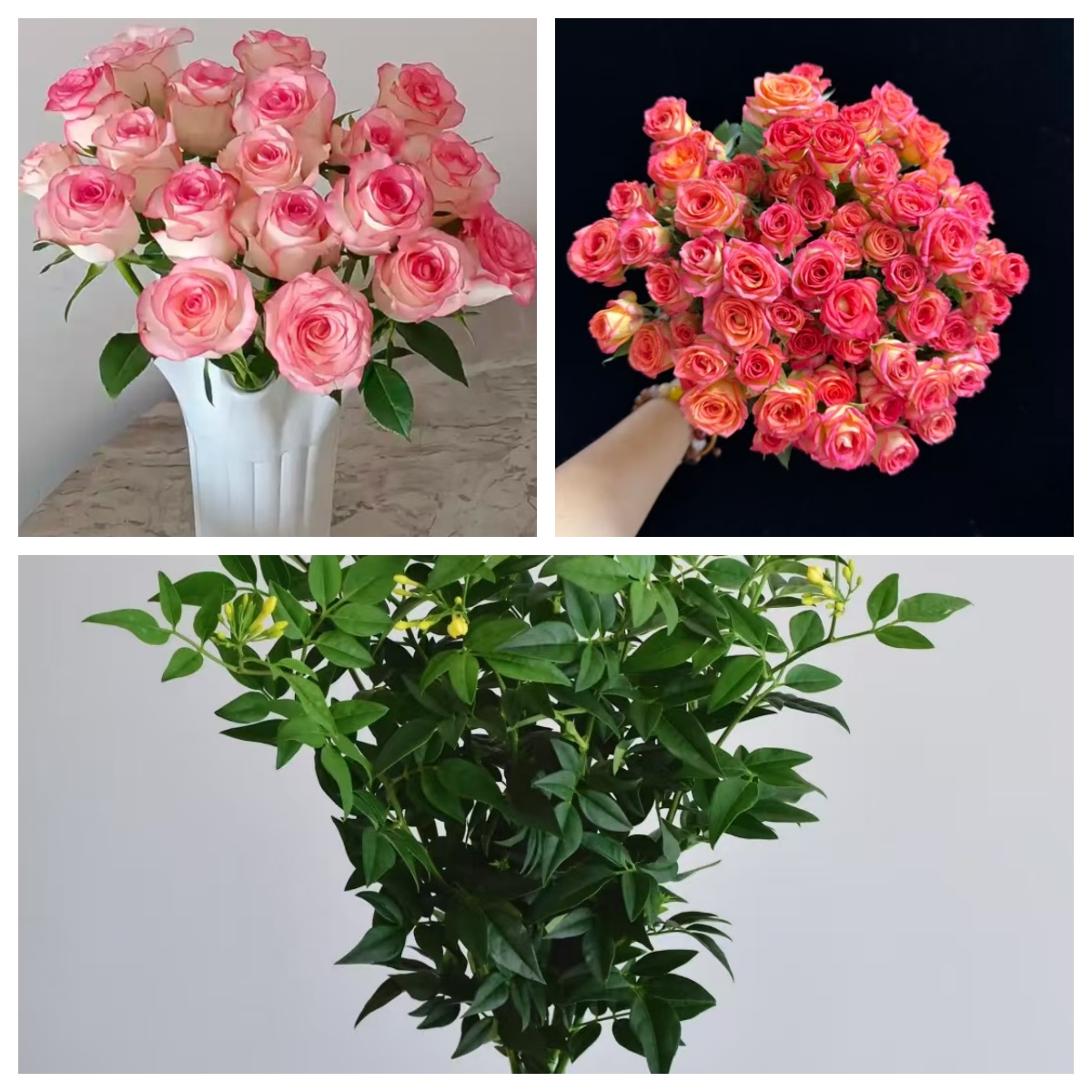 【艾莎6枝+爱丽丝3枝+九星叶1扎】任意2单鲜花升级顺丰/德邦