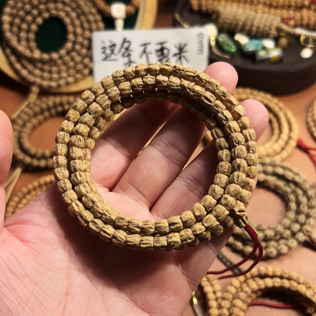 吊坠柏香籽/百香籽粉丝福利直切龙脊柏香籽