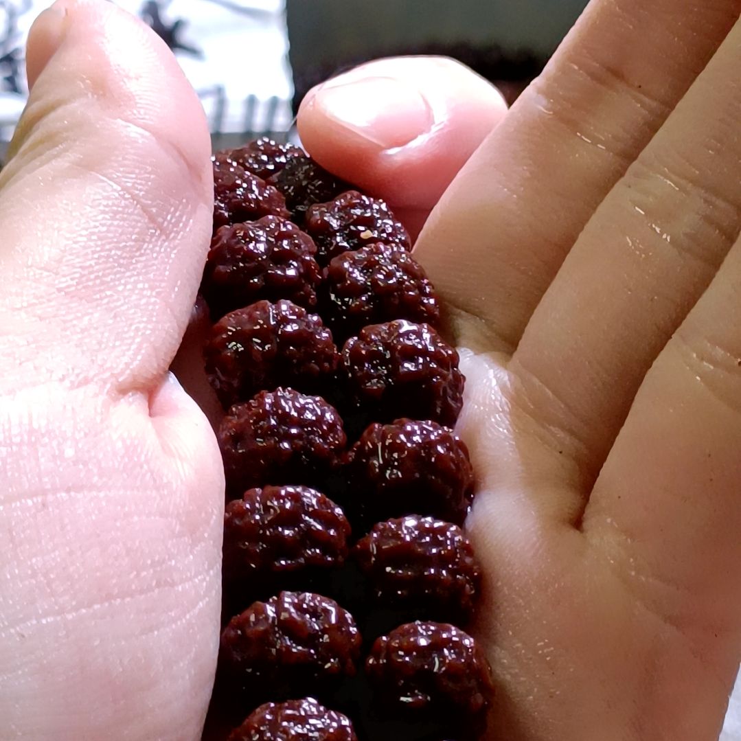 吊坠金刚菩提龙珠10.6mm