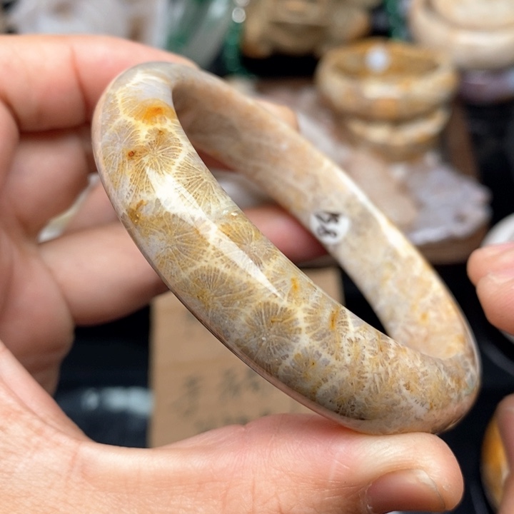硅化珊瑚（珊瑚玉）手镯未镶嵌58