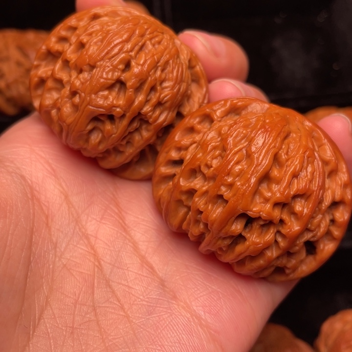 野生核桃文玩核桃