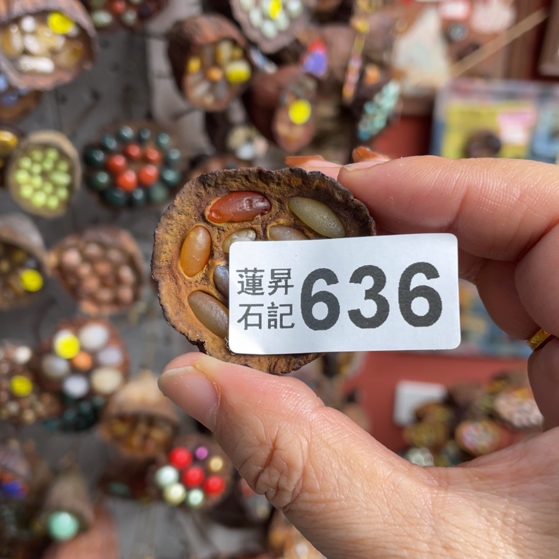 核桃木/黑胡桃（胡桃木）小*女636