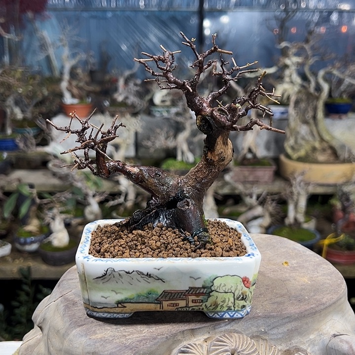 此***处完全开放            