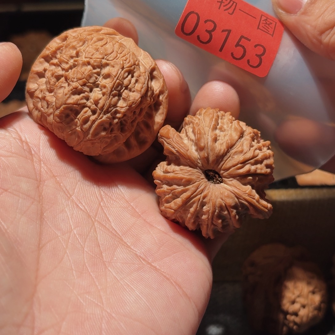 文玩核桃把件血麒麟