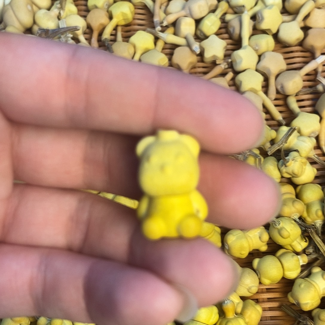 葫芦噜啦啦啦啦啦啦