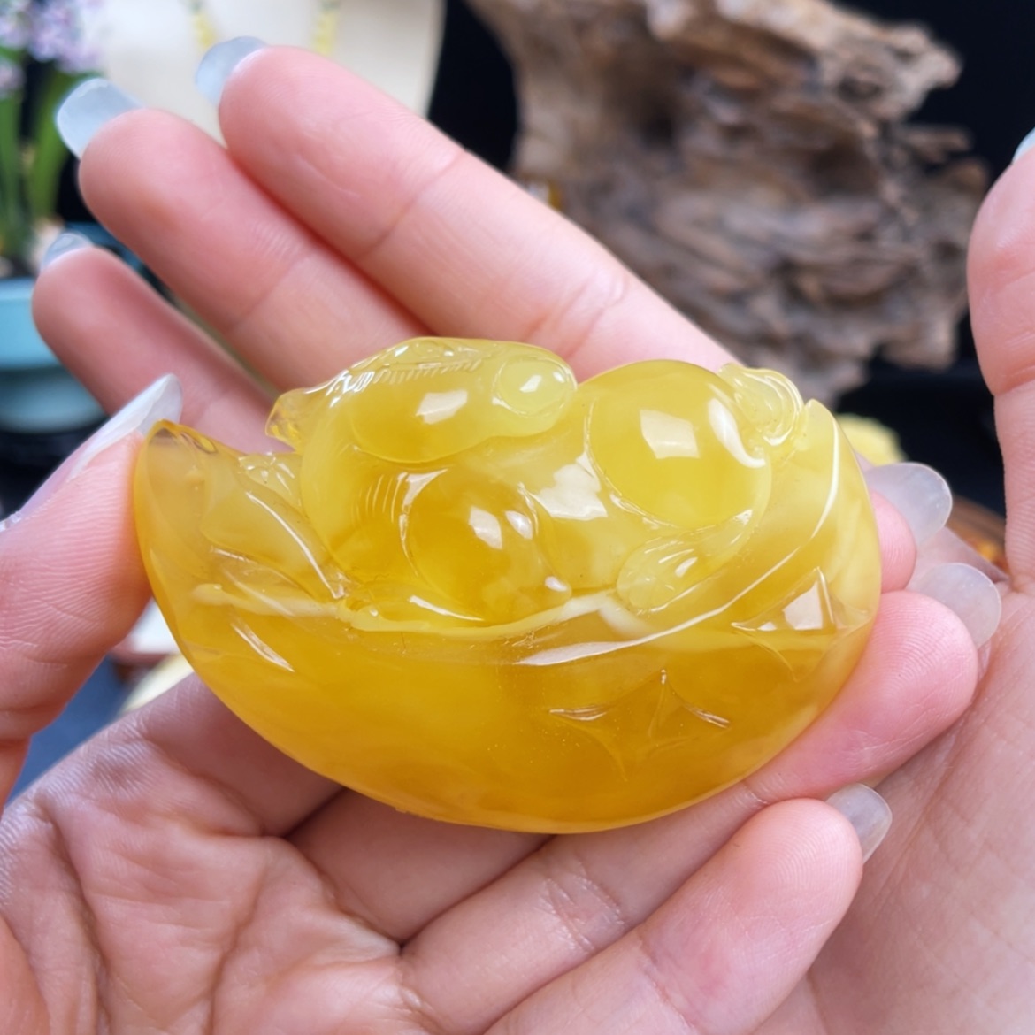 【闪购商品】琥珀珠宝奇石未镶嵌