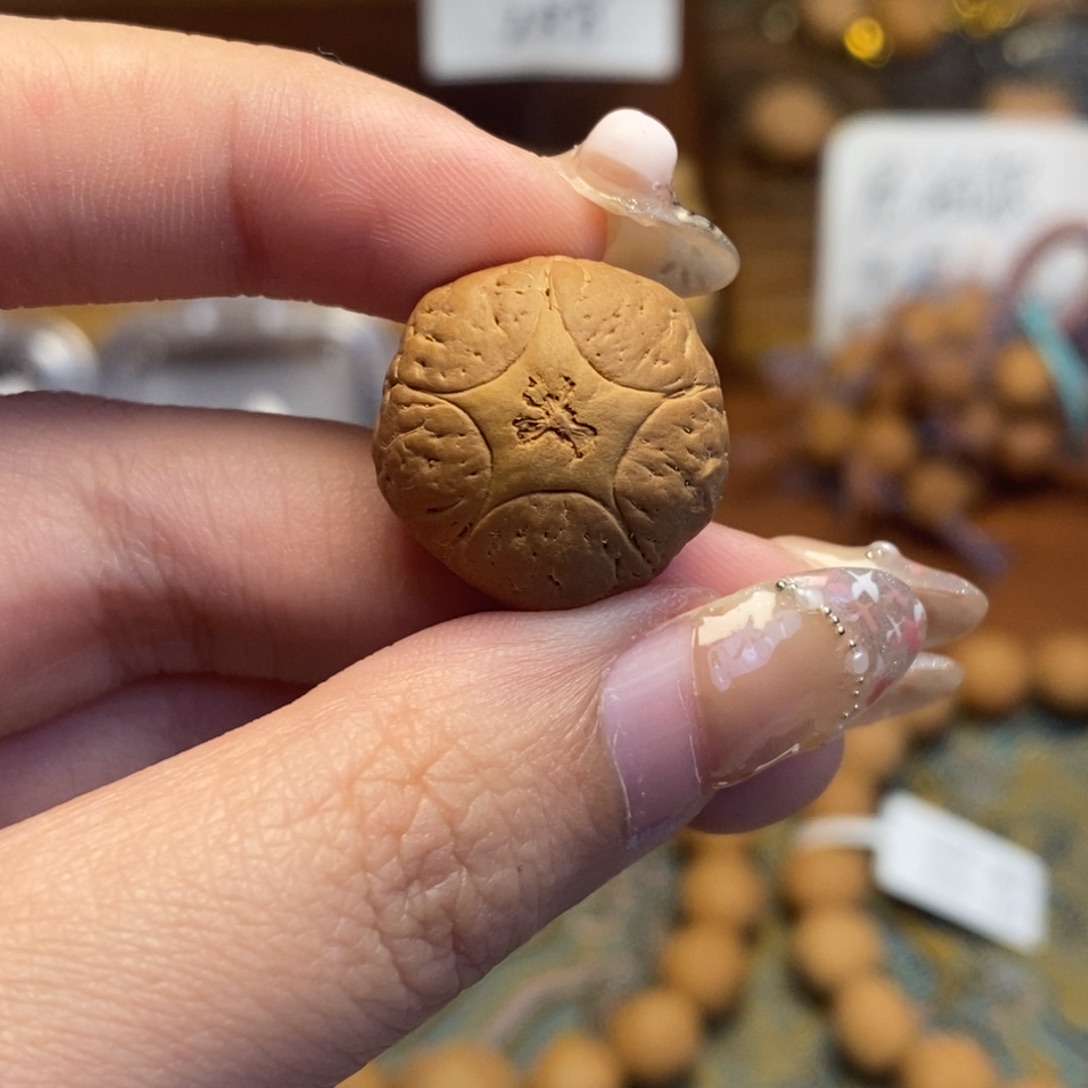 凤眼菩提吊坠五星