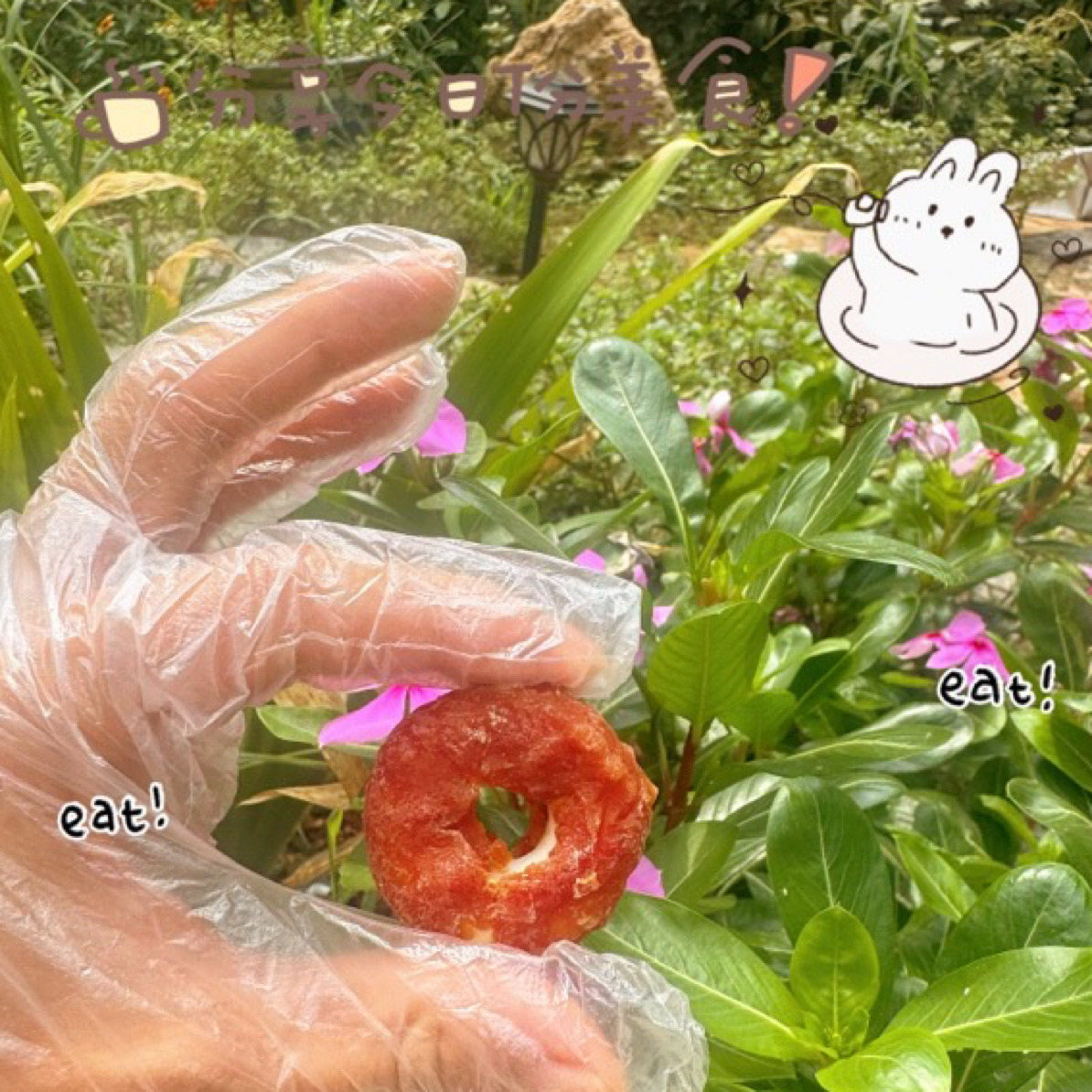 [满50包邮]宠物磨牙鸭肉小甜甜圈5支装 补钙营养圈 清火环节泪痕