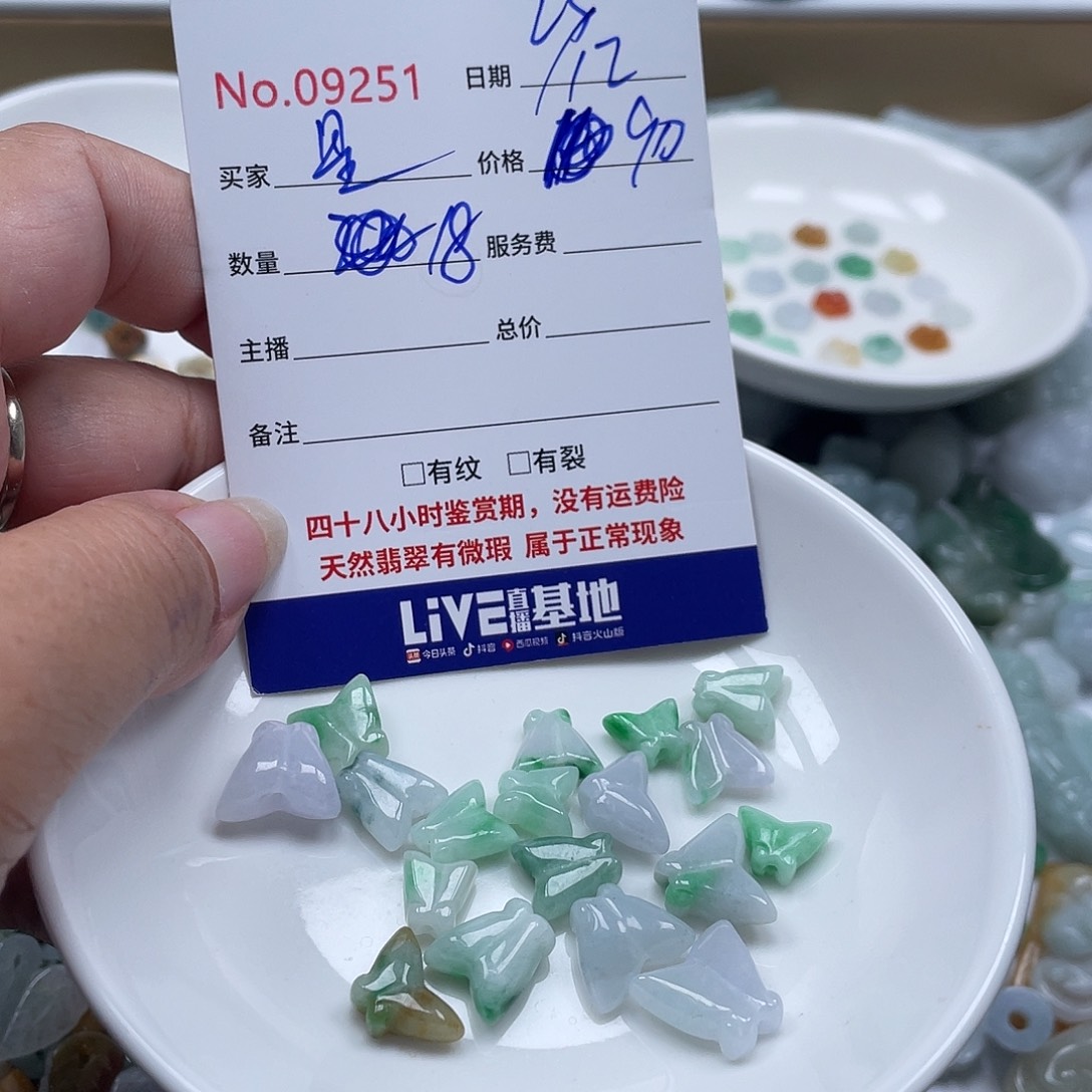 星***雨翡翠未镶嵌颈饰1486