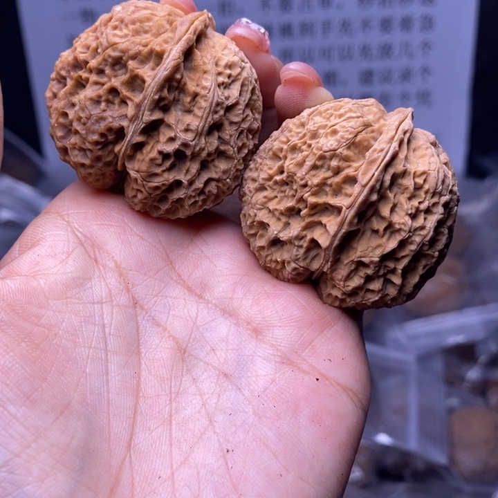 核桃云南野生铁核桃107号43mm