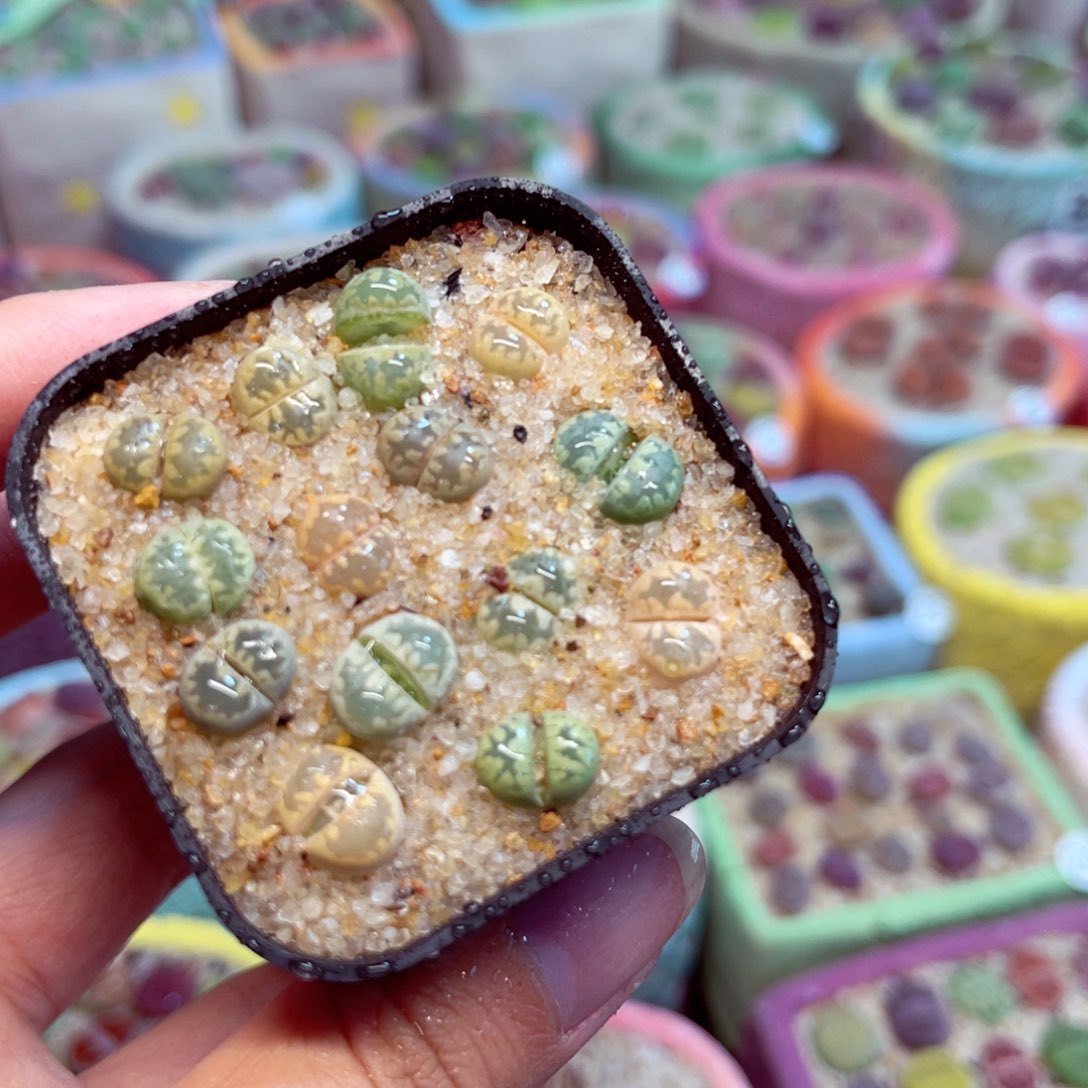 150。888888888888888888