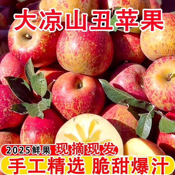 【下单现摘】正宗四川大凉山丑苹果糖心苹果爆甜多汁脆甜新鲜整箱