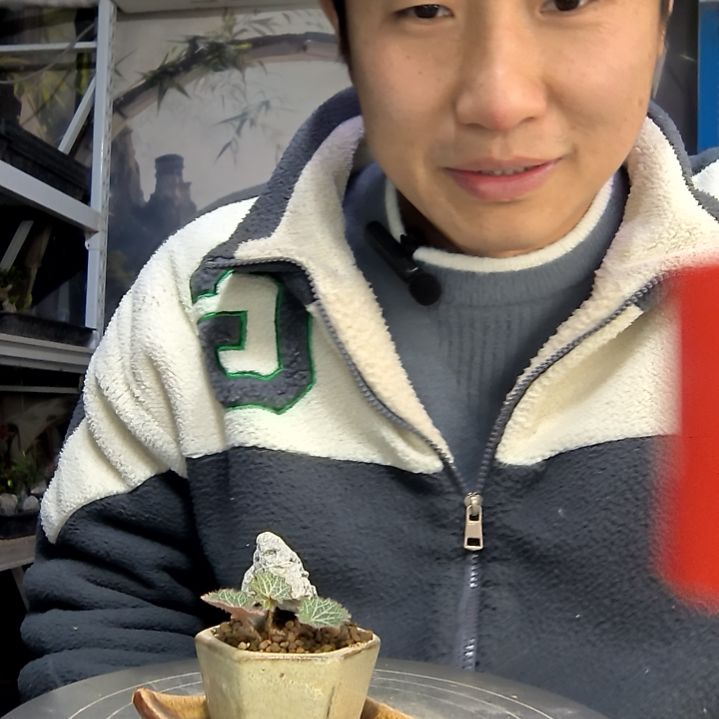 我***猛中青园艺一物一拍花256