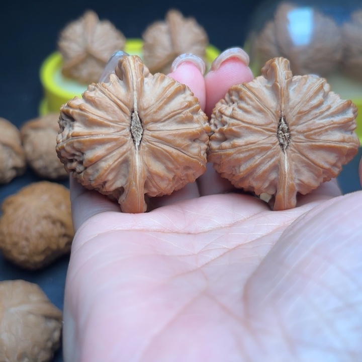 桃核把件44白狮子