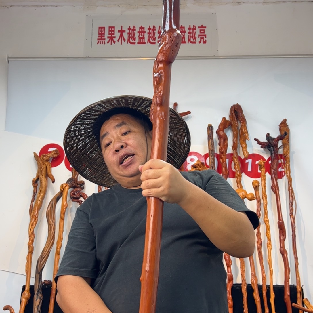 纪***留黑果木其他黑果木717