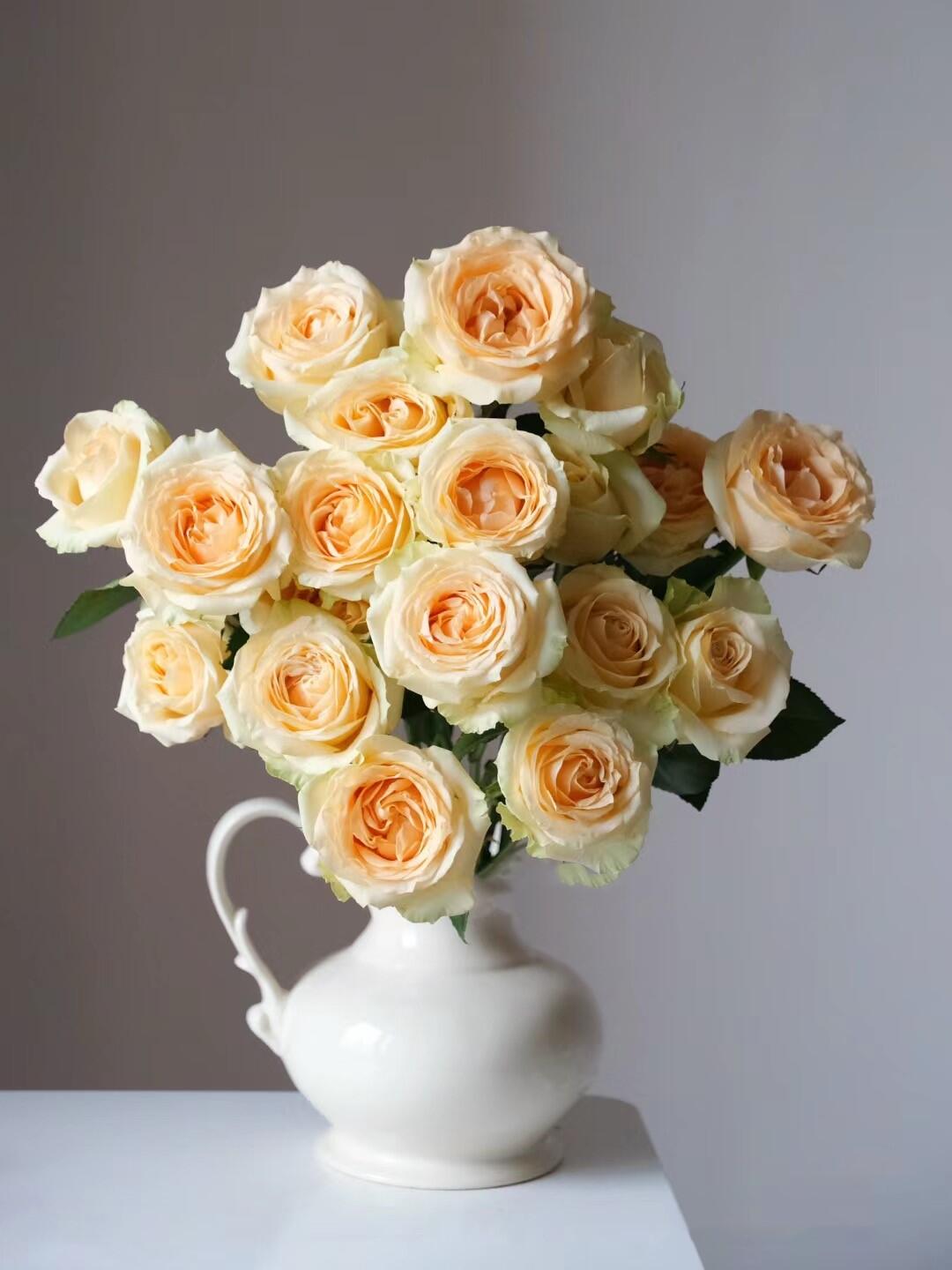 【买一送一】C级香槟玫瑰10支    云南基地鲜花 直发   家养水养