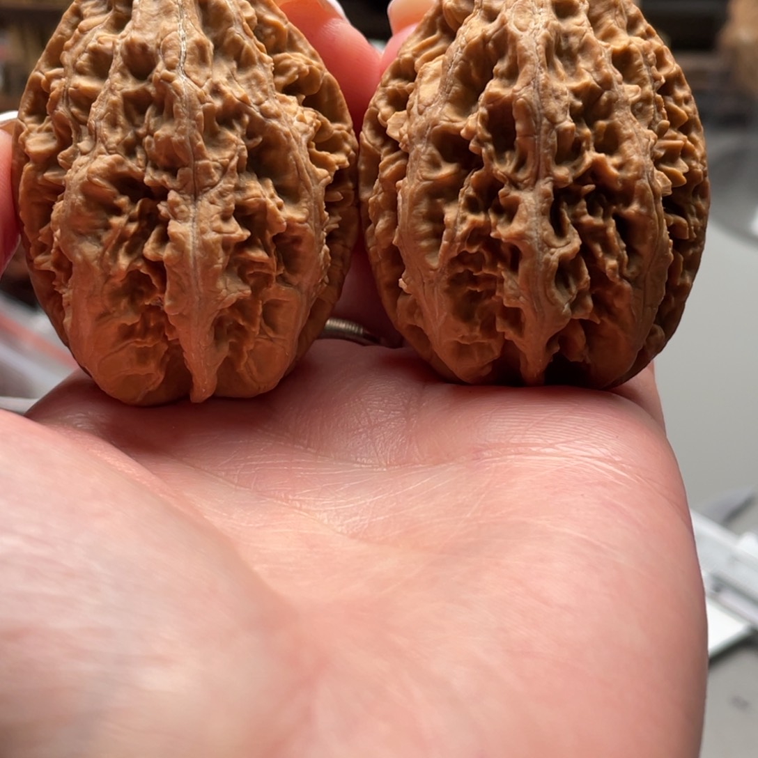 文玩核桃把件小楸香37